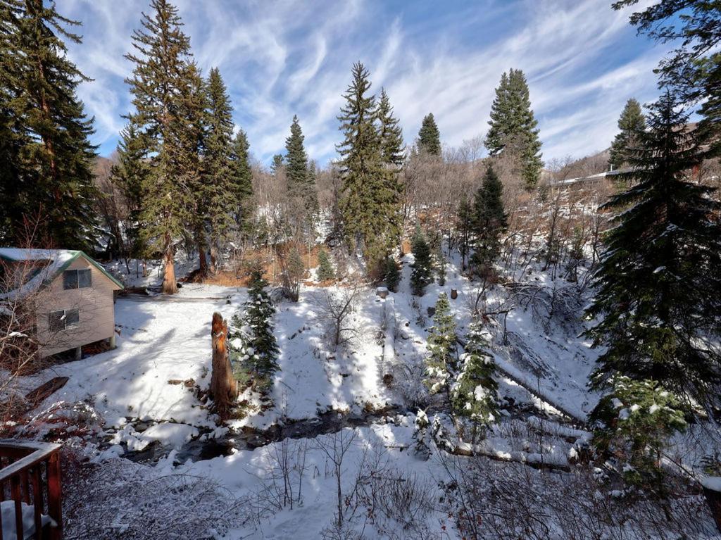 Hideaway Above The Stream Sundance, Utah Villa Buitenkant foto